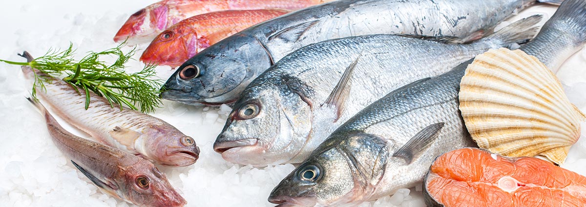 Produktvielfalt Fisch bei CHEFS CULINAR