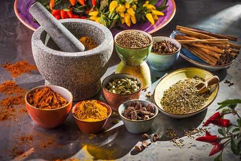Trend indische Küche