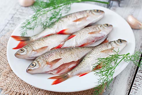 Fisch Augen sollten klar und nach außen gewölbt sein