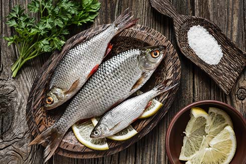 Wir achten auf die Fischbestände der Weltmeere