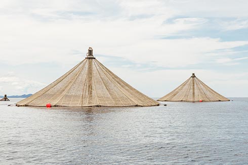 Ein Aufzuchtgehege vor der Küste Panamas