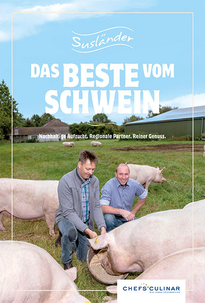 Susländer Schwein