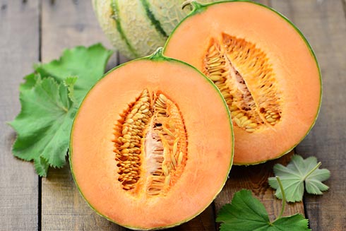 Cantaloupe Melone