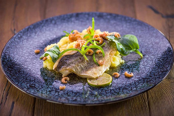 Wolfsbarschfilet auf Kartoffelstampf