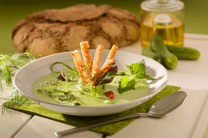 Gurkensuppe mit Dill und Brotfritten