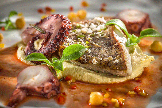 Zackenbarsch & Pulpo auf Hummus